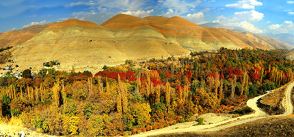 تور روستای برغان